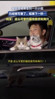 女生地库偶遇可爱小猫，下一秒画面反转