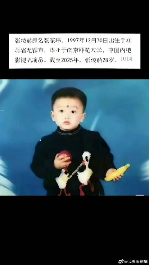 张凌赫小时候怕是也没想到,自己长大后能这么帅吧!