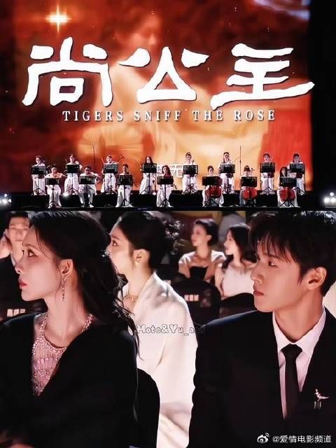他们比任何人都要爱尚公主好吗！