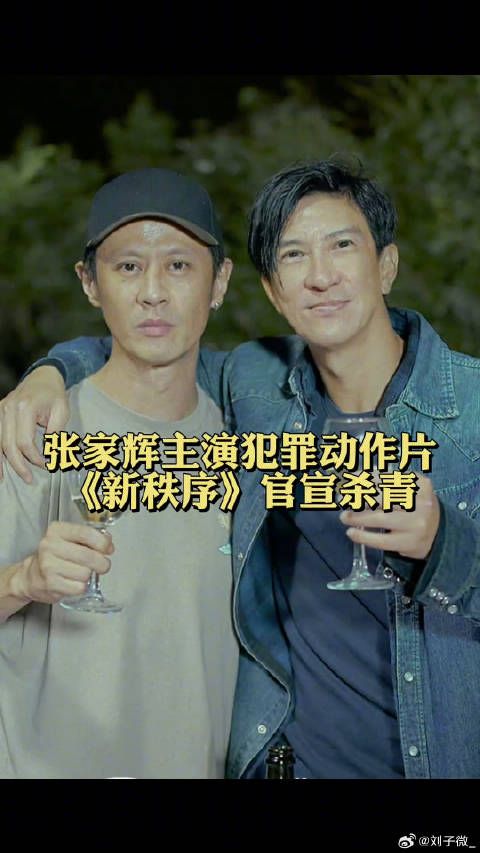 犯罪动作片张家辉 、王大陆 主演，导演马浴柯相信大家也都很脸熟