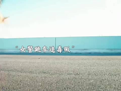 女警跳车追毒犯，竟在冷库发现师姐遗体！