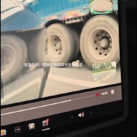 我以为狗死定了，太幸运了