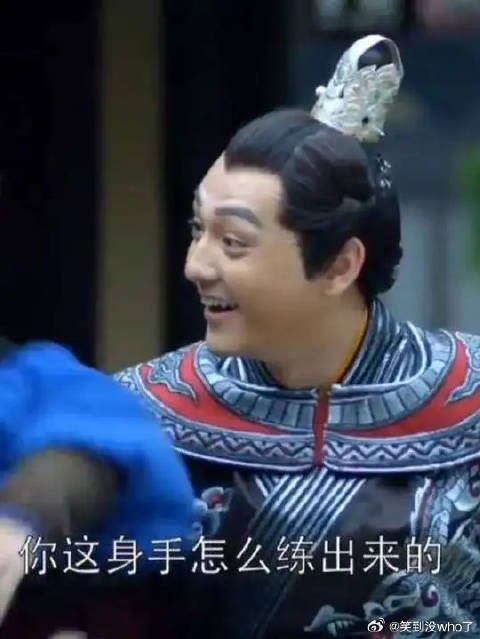 谁也不能动飞流的苏哥哥