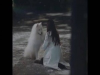 建议改剧名：《早春晴朗之因为一条狗吵了六年架》