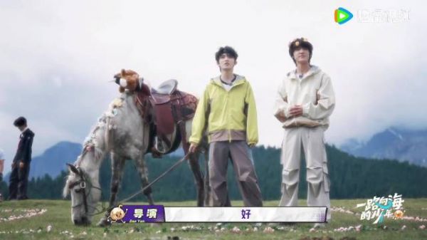 哈哈哈哈哈苏新皓好好走着被马顶到了！