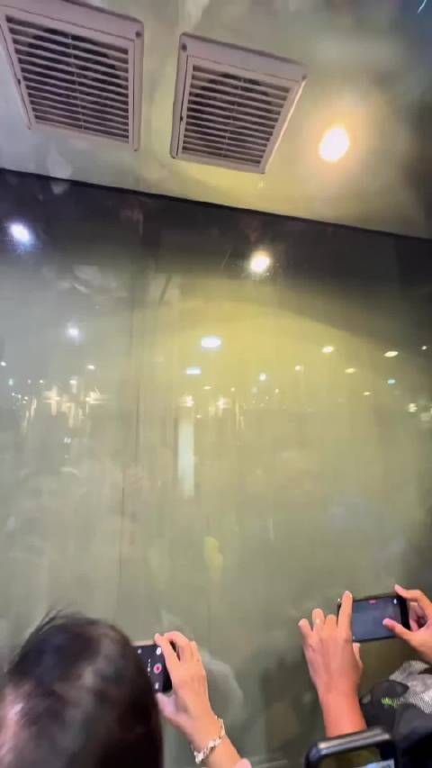 张家界天梯在Ins上火了！外国网友：这不就是潘多拉星球吗？