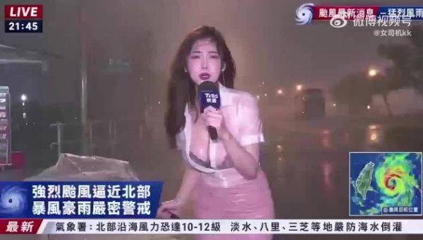 这个女记者是彻底火了