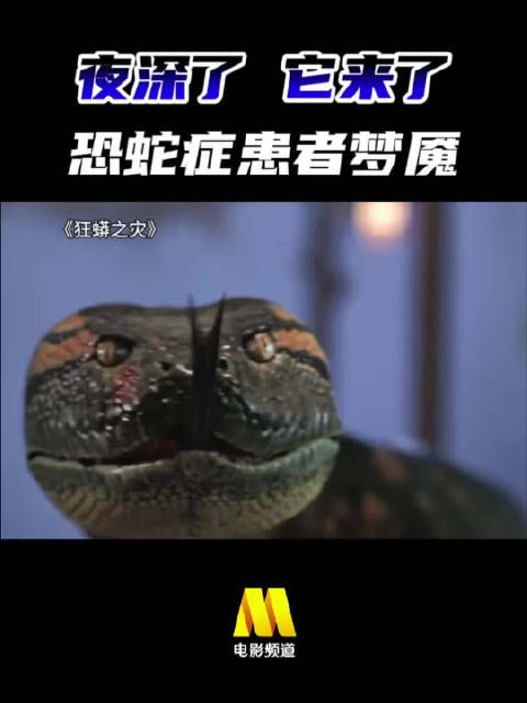 安心睡觉，祝你好梦... 电影《狂蟒之灾》，今日22:25播出