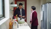 苏大强的黄昏恋 都挺好
