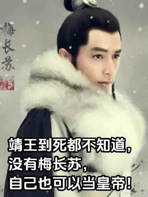 靖王到死都不知道，没有梅长苏，自己也可以当皇帝！