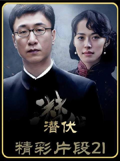 《潜伏精彩片段-21》斯蒂庞克男孩登场，吴敬中当场愕然！
