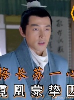 梅长苏一心为靖王着想--霓凰蒙挚因此打抱不平