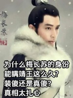 为什么梅长苏的身份能瞒靖王这么久？装傻还是真傻？真相太扎心
