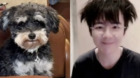 呆米：“我怎么觉得经纪人每天都在模仿我呢？” 哈哈哈哈小呆带飞刘宇宁