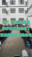 今天《刺棠》剧组好多演员都出现了，张凌赫最后压轴出场！刺棠 张凌赫 李卿