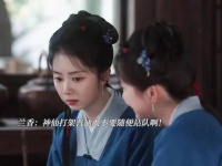 兰香：神仙打架普通人不要随便站队啊！