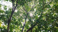 一整个盛夏的故事在此收官，夏决宣传片来袭，少年赴约顶峰