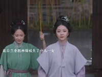 最后兰香跟林锦岐生了一儿一女