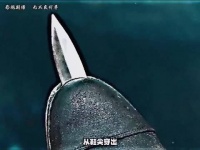 匕首插鞋底别试，破皮鞋承受不住你的体重，还可能会割断脚趾