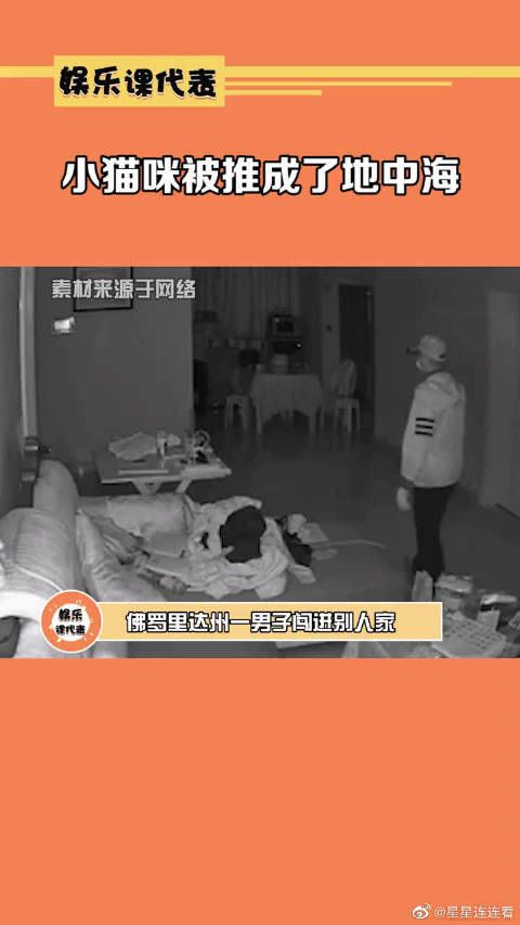 小猫被推成了地中海……什么仇什么怨啊!