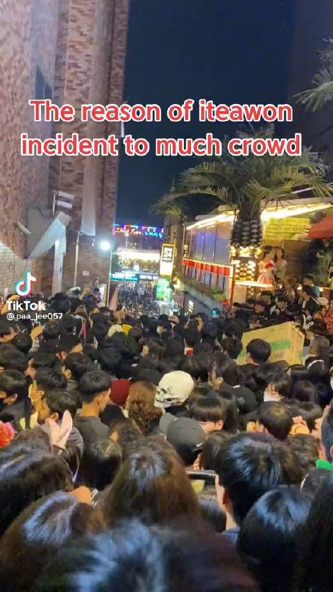 昨晚的惨剧就是在这种情况下发生的……