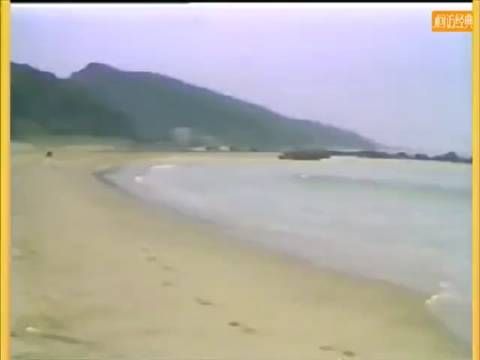 1981年叶倩文-特别演出《鹿港小镇》罗大佑-现场版