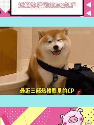 近期热播剧的三对CP 哪对CP让你上头？