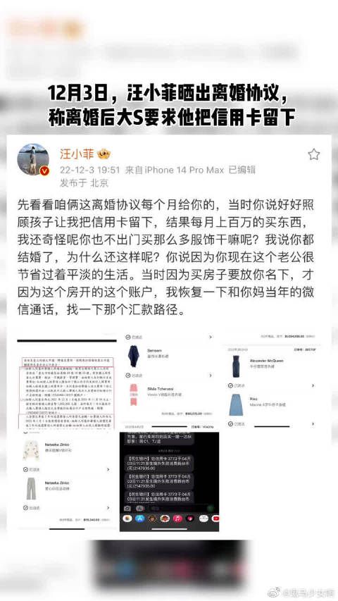 大S 和具俊晔 结婚时的头纱和项链都是刷汪小菲信用卡买的