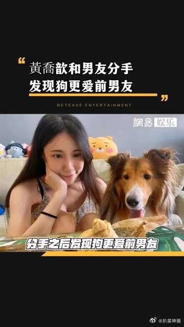 因为小狗更爱男友所以分手的时候让对方把狗带走