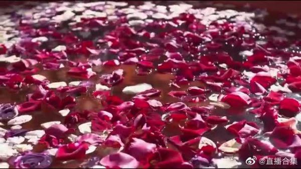 羋月被人奸细劫走,樗里子只能先找到她的下落……