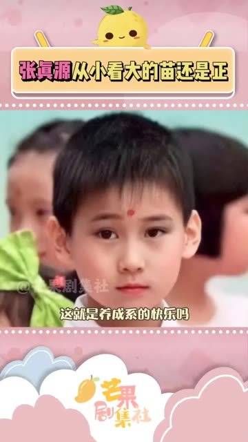 养成系的好处~咱看着长大得苗还是根正苗红……