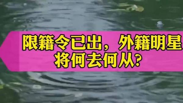 限籍令已出，外国籍演员禁止国内捞金，刘亦菲、李连杰将何去何从