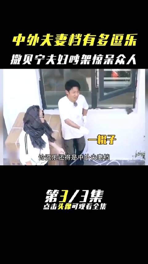 撒贝宁和李白有多搞笑？俩人吵架内容吓坏众人