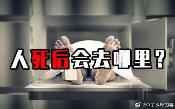 人死后会去往哪里?美国哈勃望远镜曾拍到“天宫”,这是真的吗?