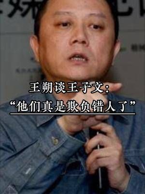 王朔谈王子文 ：“他们真是欺负错人了”