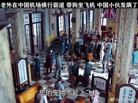 老外在中国机场横行霸道，带狗坐飞机，中国小伙发飙了