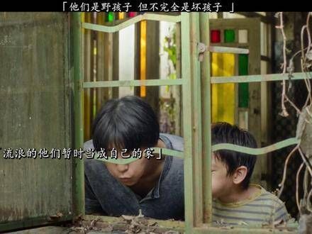 他们并非恶劣孩童,只是未驯服的精灵, 电影中的野生世界