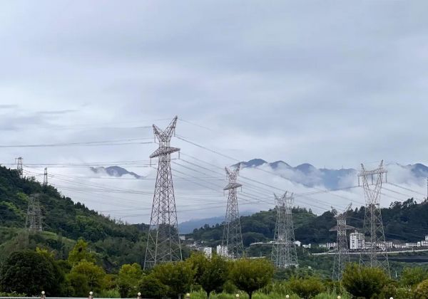 图片来源:每日经济新闻 兰素英 摄
