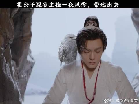 霍公子提谷主挡一夜风雪,带她出去