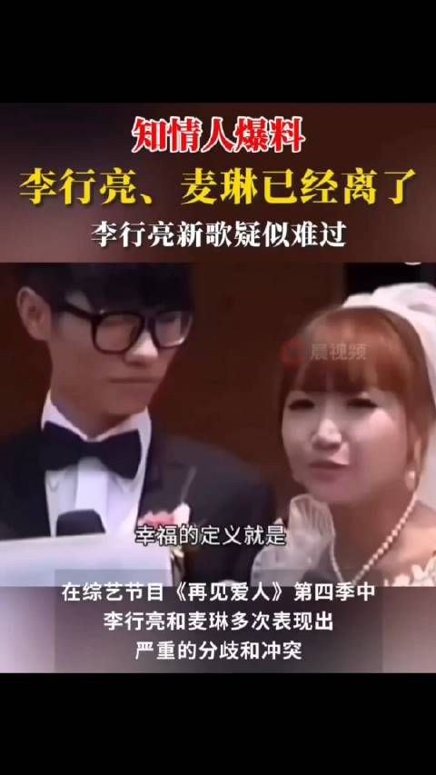 复杂的关系:麦琳的矛盾之心