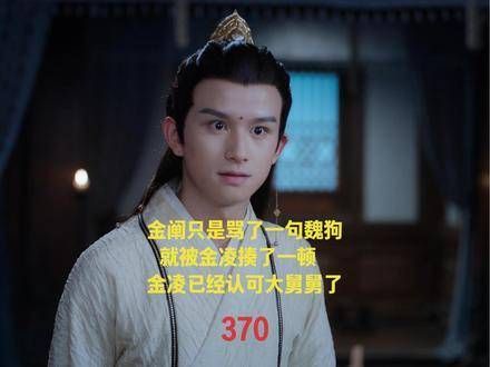 金阐仅因一句魏狗,便遭金凌一顿教训,金凌已认同大舅舅