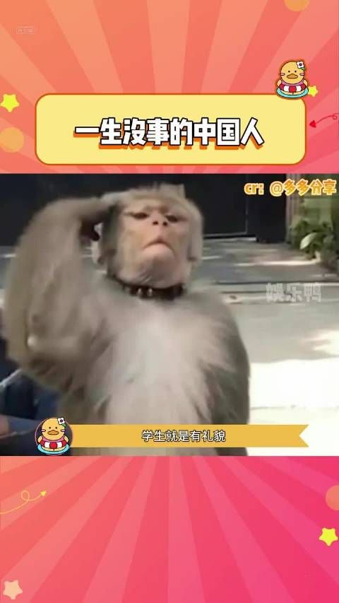 学生就是有礼貌,有苦一般都是自己吃!