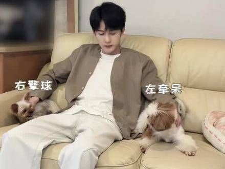 哈哈哈,这一家三口真是和谐呀!