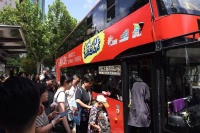 既是“大先生”也是“小白象”，在这里遇见立体多面的鲁迅