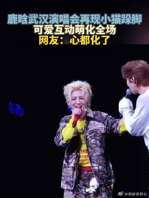 鹿晗武汉演唱会再现小猫跺脚，可爱互动萌化全场，网友：心都化了