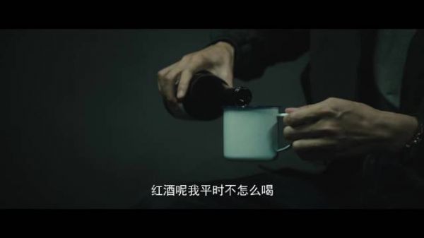 王凯审讯逻辑缜密，对方捂脸扛不住