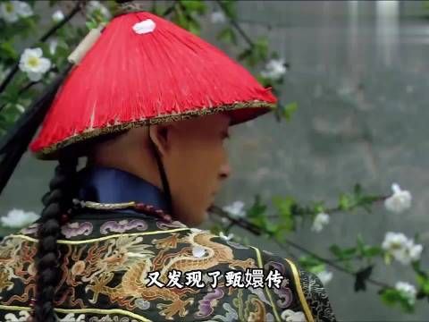 甄嬛传果然常看常新，又发现一个未曾设想过的角度