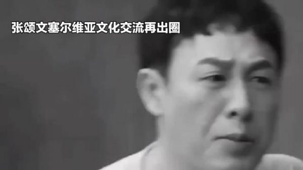 张颂文塞尔维亚文化交流再出圈！以光影为桥，做实行走的中国名片