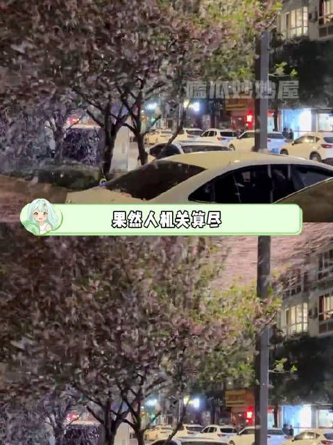 果然人机关算尽不如命运轻描一笔万万没想到