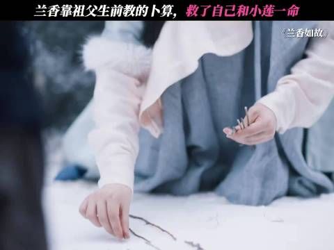 难怪有故人之姿,原来是故人之子 兰香如故